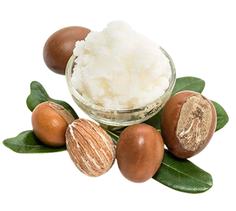 Shea Butter