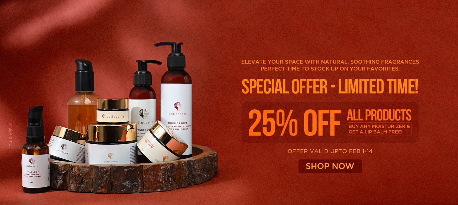 SS_OFFER_BANNER .jpg